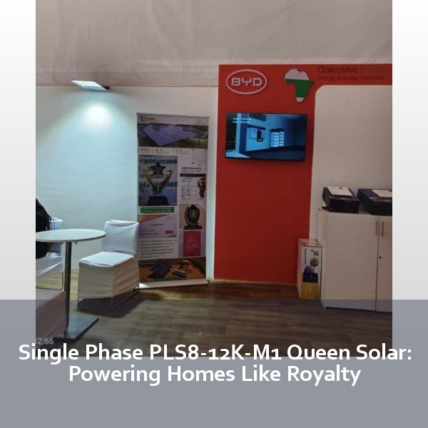 Single Phase PLS8-12K-M1 Queen Solar: Powering Homes Like Royalty
