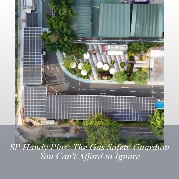 SP Handy Plus: The Gas Safety Guardian You Can't Afford to Ignore