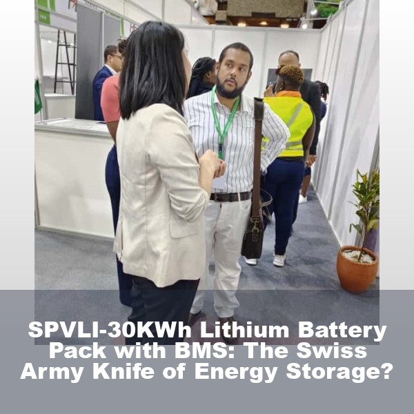 SPVLI-30KWh Lithium Battery Pack with BMS: The Swiss Army Knife of Energy Storage?