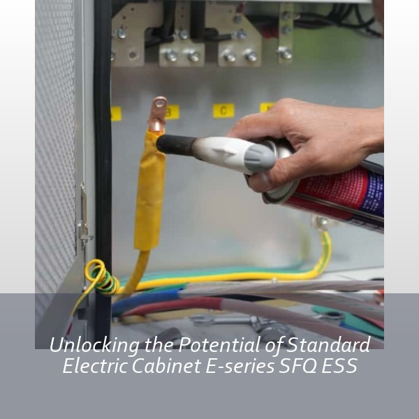 Unlocking the Potential of Standard Electric Cabinet E-series SFQ ESS