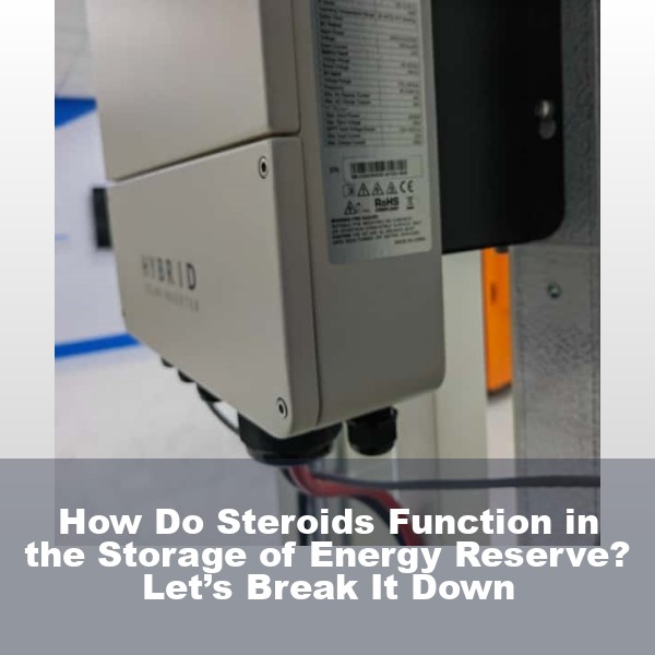 How Do Steroids Function in the Storage of Energy Reserve? Let’s Break It Down