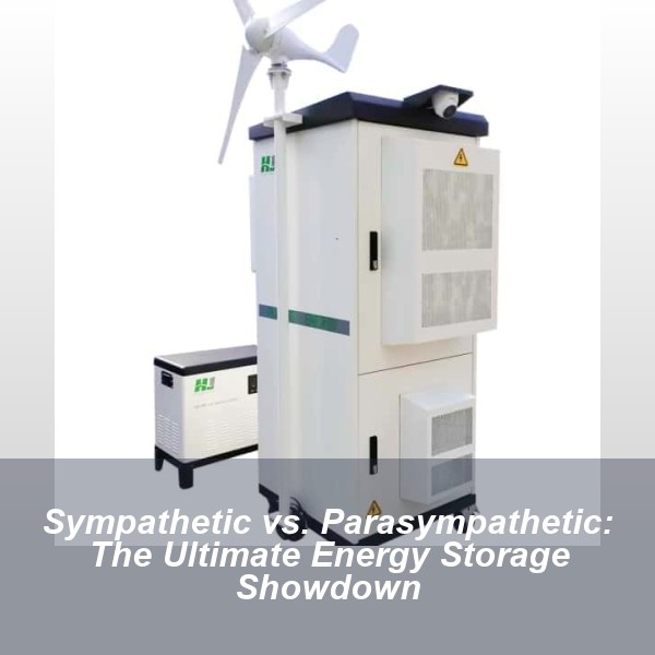 Sympathetic vs. Parasympathetic: The Ultimate Energy Storage Showdown