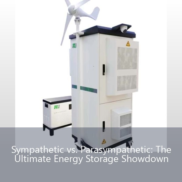 Sympathetic vs. Parasympathetic: The Ultimate Energy Storage Showdown