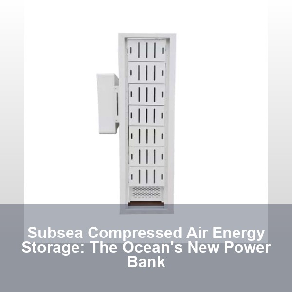 Subsea Compressed Air Energy Storage: The Ocean's New Power Bank