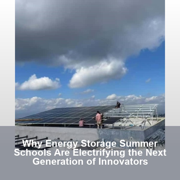 Why Energy Storage Summer Schools Are Electrifying the Next Generation of Innovators