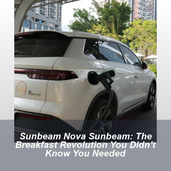 Sunbeam Nova Sunbeam: The Breakfast Revolution You Didn't Know You Needed