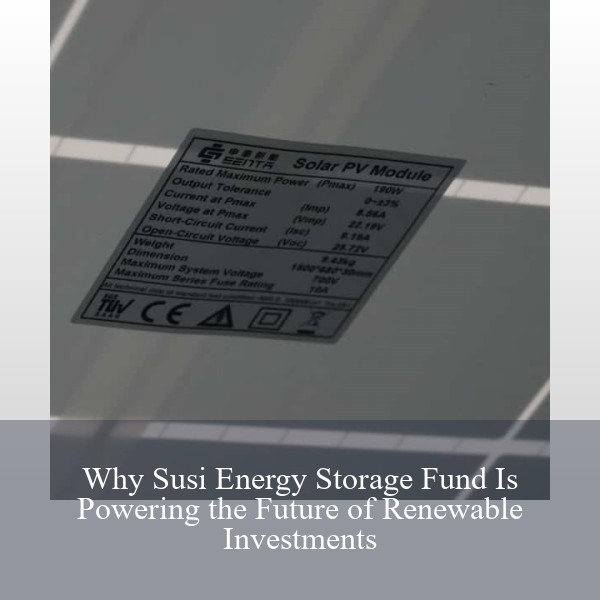 Why Susi Energy Storage Fund Is Powering the Future of Renewable Investments