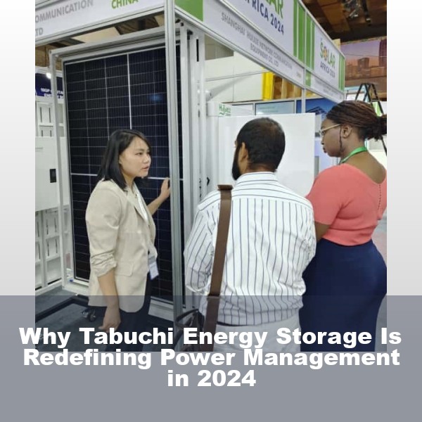 Why Tabuchi Energy Storage Is Redefining Power Management in 2024