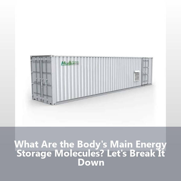 What Are the Body's Main Energy Storage Molecules? Let's Break It Down
