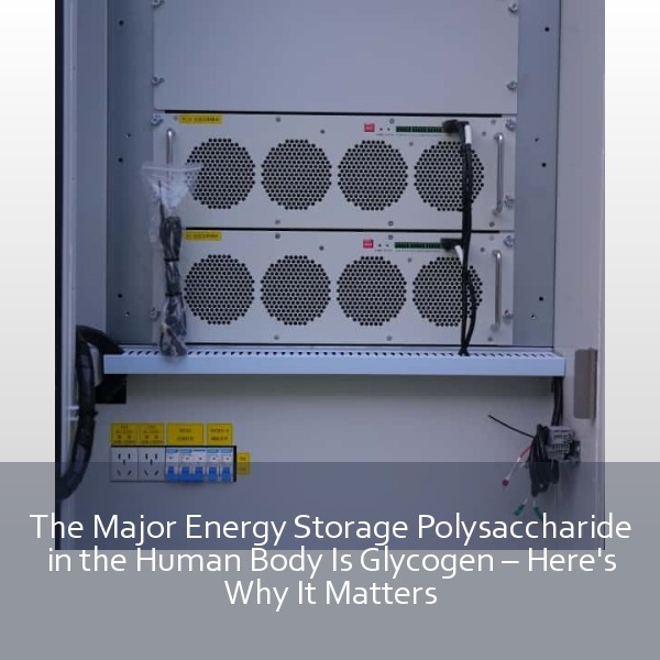 The Major Energy Storage Polysaccharide in the Human Body Is Glycogen – Here's Why It Matters