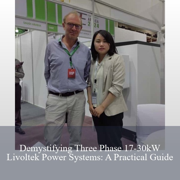 Demystifying Three Phase 17-30kW Livoltek Power Systems: A Practical Guide