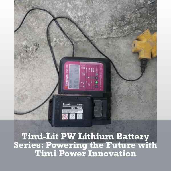 Timi-Lit PW Lithium Battery Series: Powering the Future with Timi Power Innovation