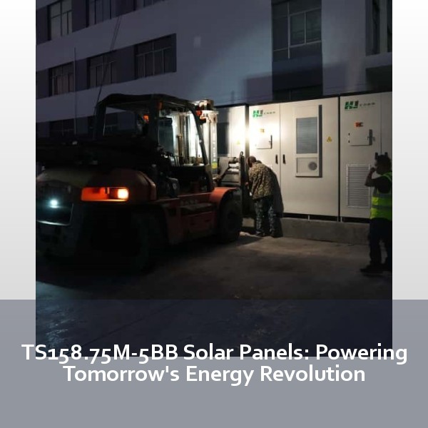 TS158.75M-5BB Solar Panels: Powering Tomorrow's Energy Revolution