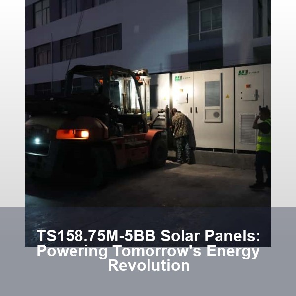 TS158.75M-5BB Solar Panels: Powering Tomorrow's Energy Revolution