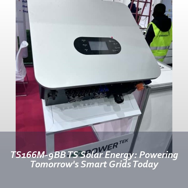 TS166M-9BB TS Solar Energy: Powering Tomorrow's Smart Grids Today