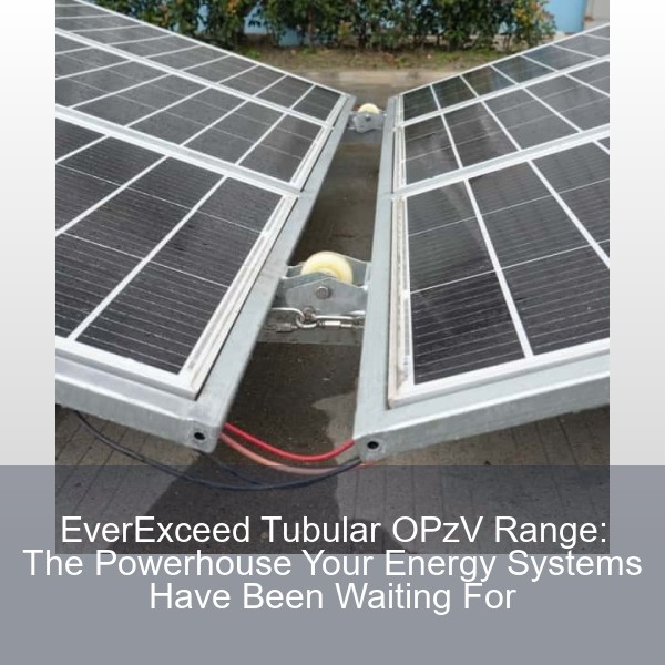 EverExceed Tubular OPzV Range: The Powerhouse Your Energy Systems Have Been Waiting For