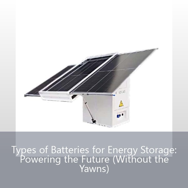 Types of Batteries for Energy Storage: Powering the Future (Without the Yawns)
