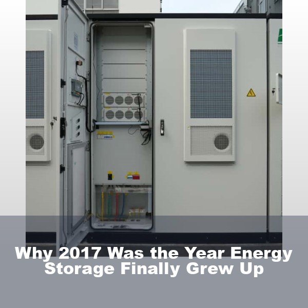 Why 2017 Was the Year Energy Storage Finally Grew Up