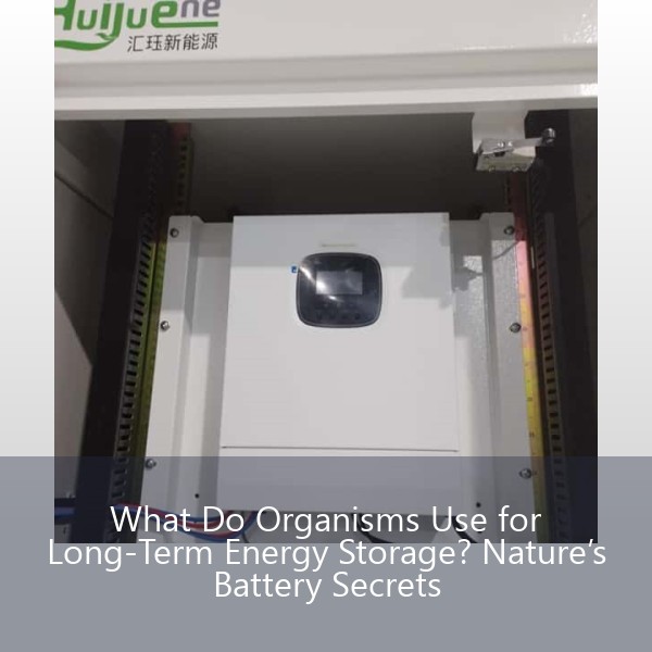 What Do Organisms Use for Long-Term Energy Storage? Nature’s Battery Secrets