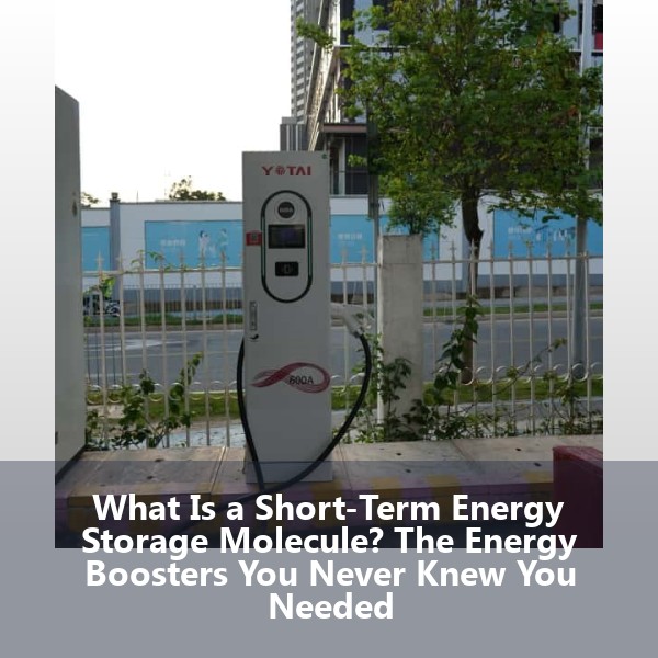 What Is a Short-Term Energy Storage Molecule? The Energy Boosters You Never Knew You Needed