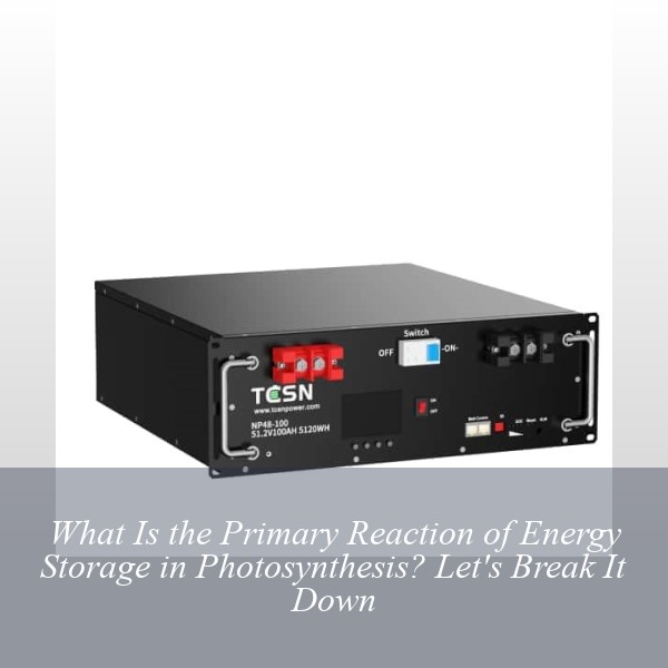 What Is the Primary Reaction of Energy Storage in Photosynthesis? Let's Break It Down