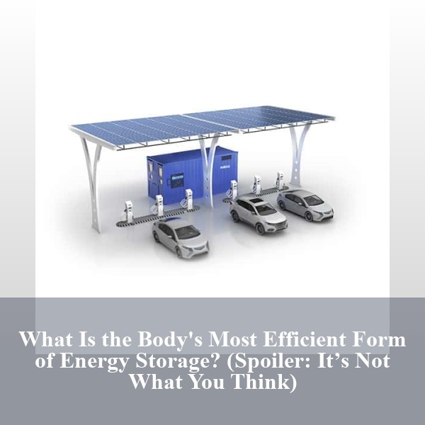 What Is the Body's Most Efficient Form of Energy Storage? (Spoiler: It’s Not What You Think)