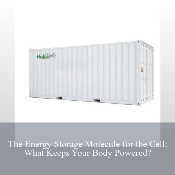 The Energy Storage Molecule for the Cell: What Keeps Your Body Powered?