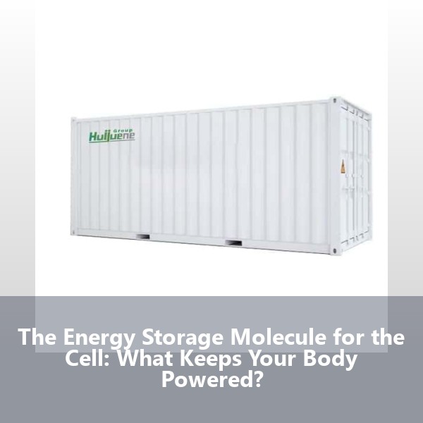The Energy Storage Molecule for the Cell: What Keeps Your Body Powered?