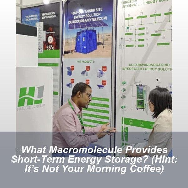 What Macromolecule Provides Short-Term Energy Storage? (Hint: It’s Not Your Morning Coffee)