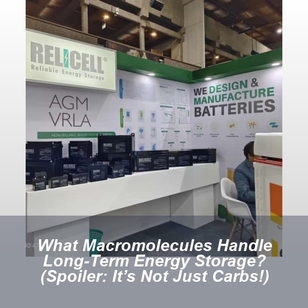 What Macromolecules Handle Long-Term Energy Storage? (Spoiler: It’s Not Just Carbs!)