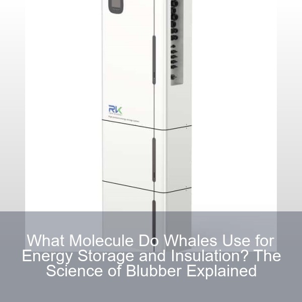 What Molecule Do Whales Use for Energy Storage and Insulation? The Science of Blubber Explained