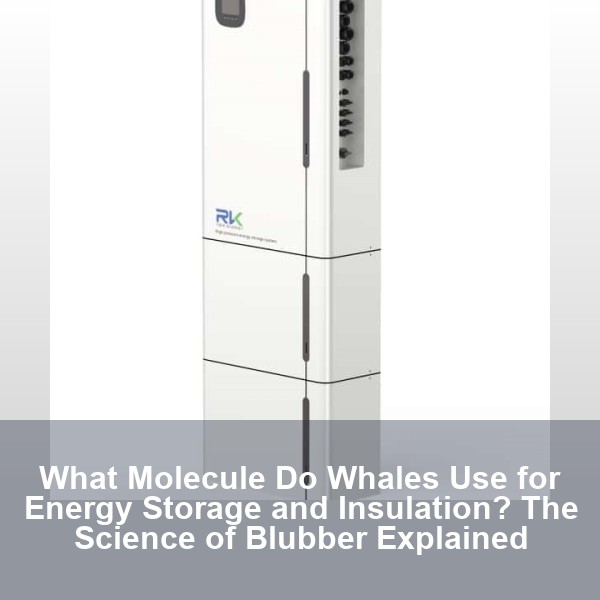 What Molecule Do Whales Use for Energy Storage and Insulation? The Science of Blubber Explained
