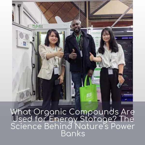 What Organic Compounds Are Used for Energy Storage? The Science Behind Nature's Power Banks