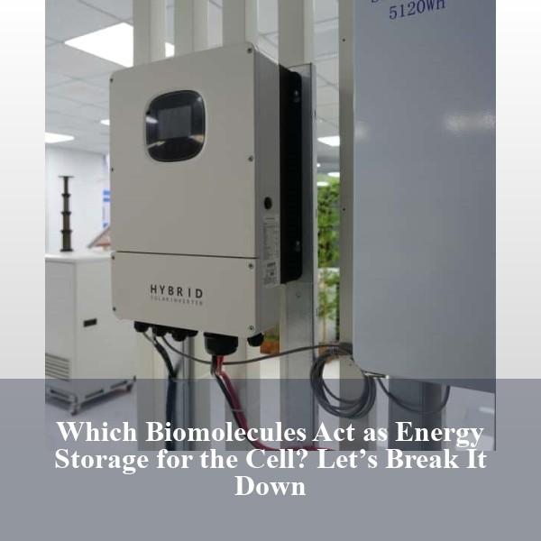 Which Biomolecules Act as Energy Storage for the Cell? Let’s Break It Down