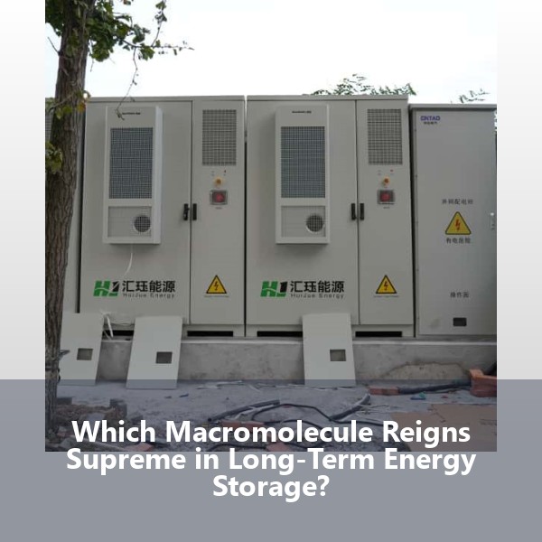 Which Macromolecule Reigns Supreme in Long-Term Energy Storage?
