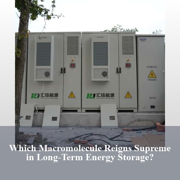 Which Macromolecule Reigns Supreme in Long-Term Energy Storage?