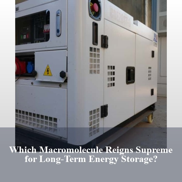 Which Macromolecule Reigns Supreme for Long-Term Energy Storage?