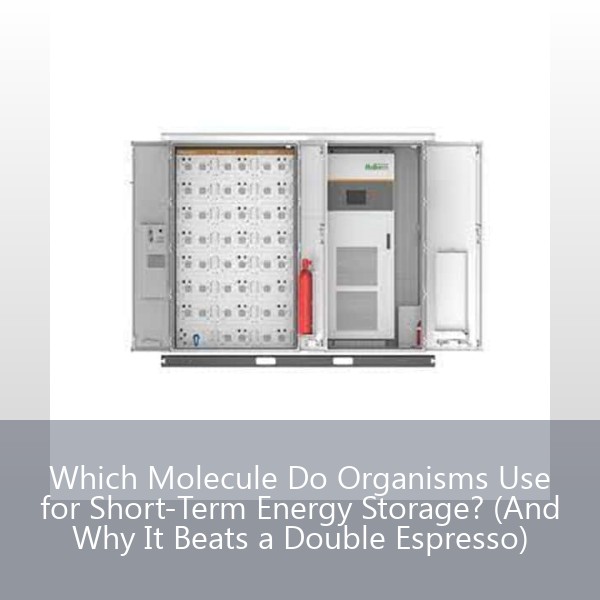 Which Molecule Do Organisms Use for Short-Term Energy Storage? (And Why It Beats a Double Espresso)