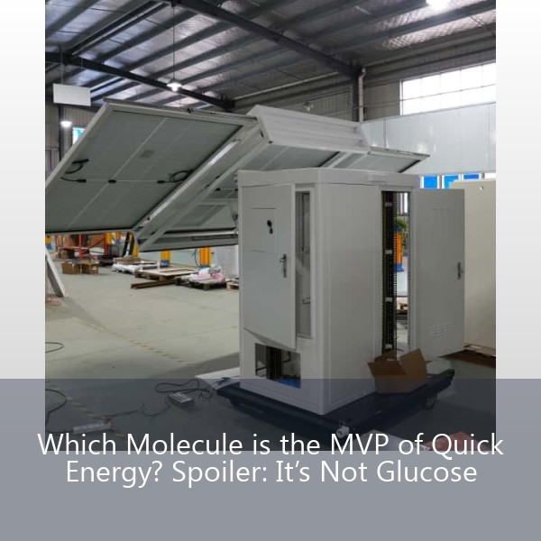 Which Molecule is the MVP of Quick Energy? Spoiler: It’s Not Glucose