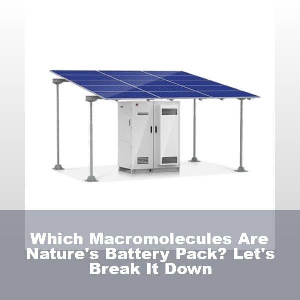 Which Macromolecules Are Nature's Battery Pack? Let's Break It Down