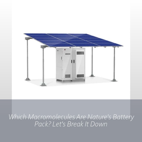 Which Macromolecules Are Nature's Battery Pack? Let's Break It Down