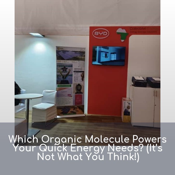 Which Organic Molecule Powers Your Quick Energy Needs? (It’s Not What You Think!)