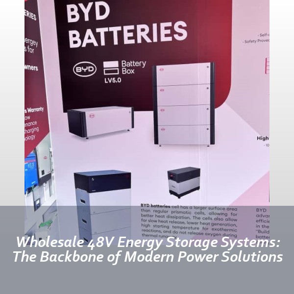 Wholesale 48V Energy Storage Systems: The Backbone of Modern Power Solutions