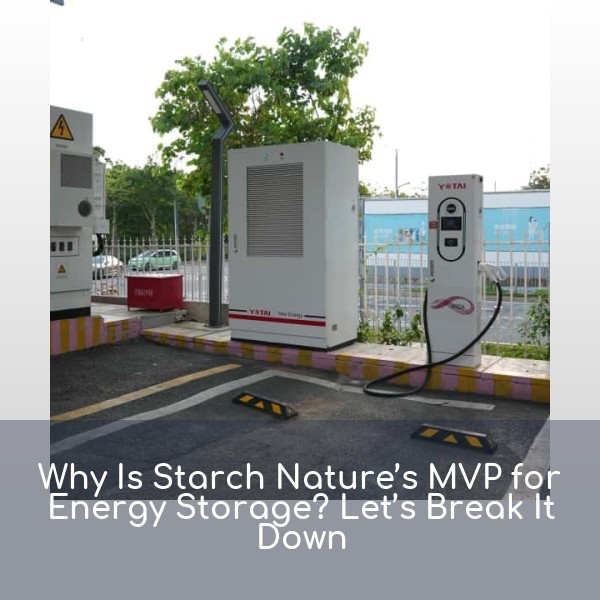 Why Is Starch Nature’s MVP for Energy Storage? Let’s Break It Down