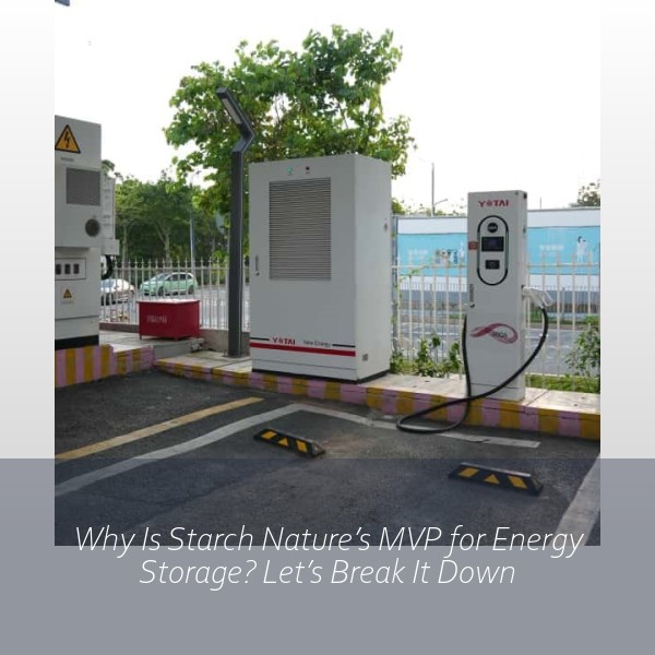 Why Is Starch Nature’s MVP for Energy Storage? Let’s Break It Down