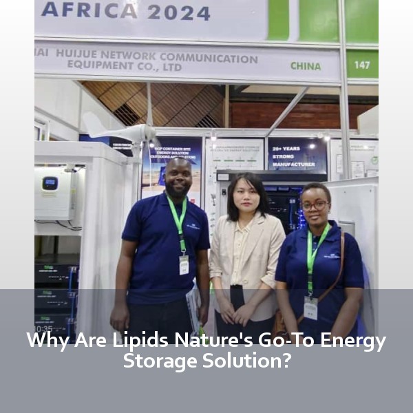 Why Are Lipids Nature's Go-To Energy Storage Solution?