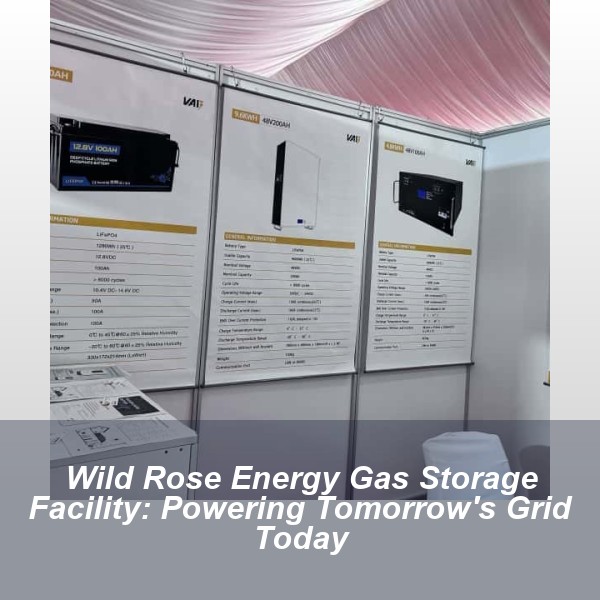 Wild Rose Energy Gas Storage Facility: Powering Tomorrow's Grid Today