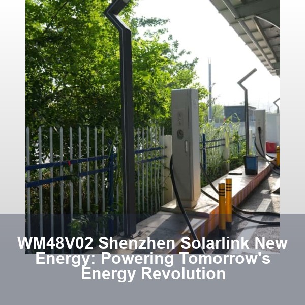 WM48V02 Shenzhen Solarlink New Energy: Powering Tomorrow's Energy Revolution